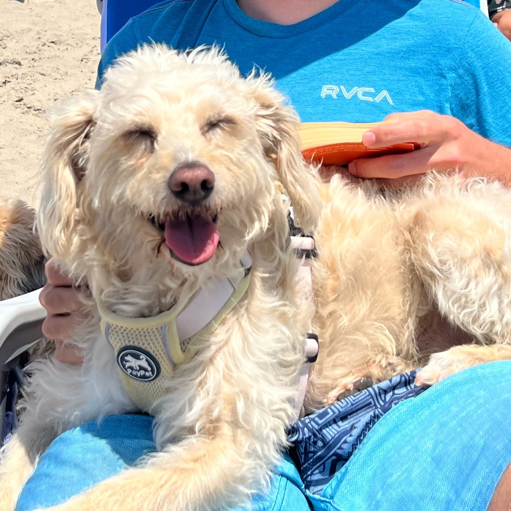 Meet your Posher, Madeline